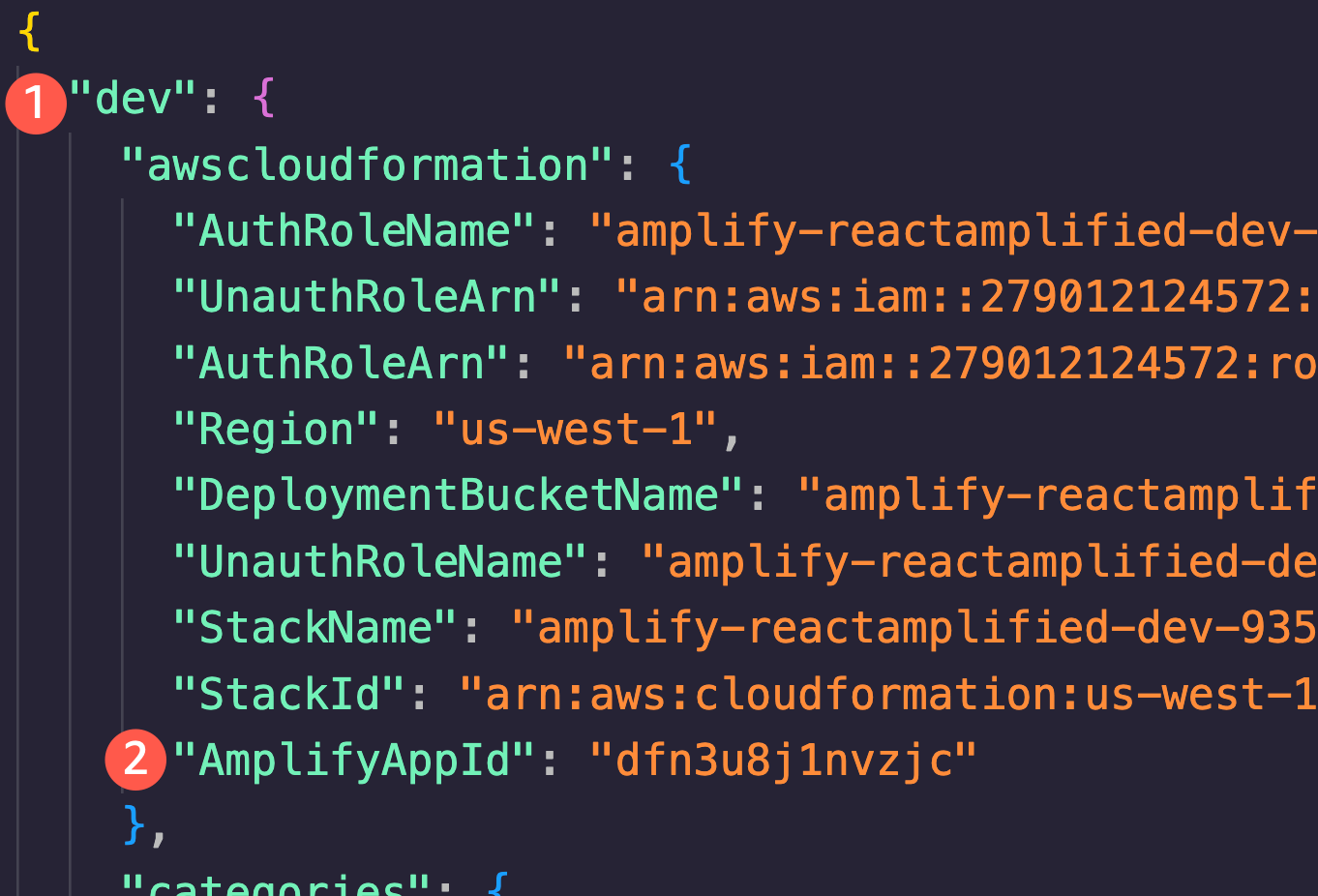 The environment and AmplifyAppId in team-provider-info.json file.