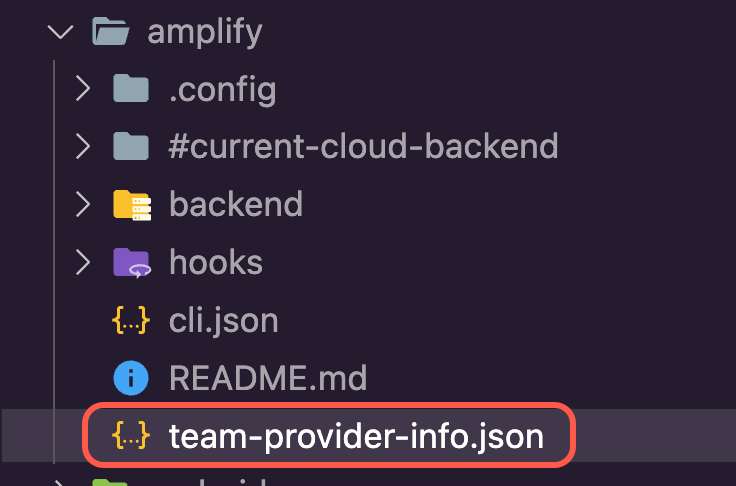 The team-provider-info.json file within the file directory of the Amplify app.