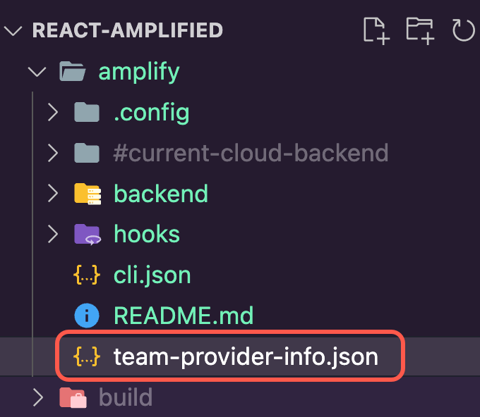 The team-provider-info.json file within the file directory of the Amplify app.